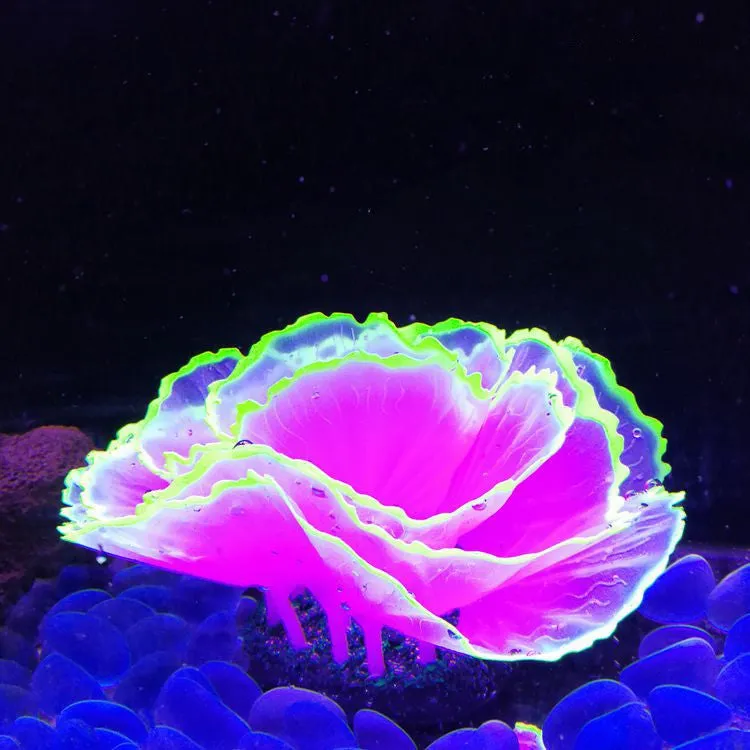 Bulk Glowing Effect Plants Aquarium Lettuce Coral Glow Plants for Fish Tank Wholesale