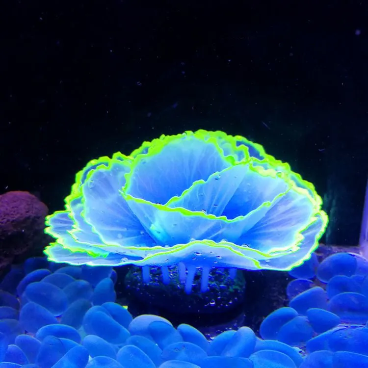 Bulk Glowing Effect Plants Aquarium Lettuce Coral Glow Plants for Fish Tank Wholesale