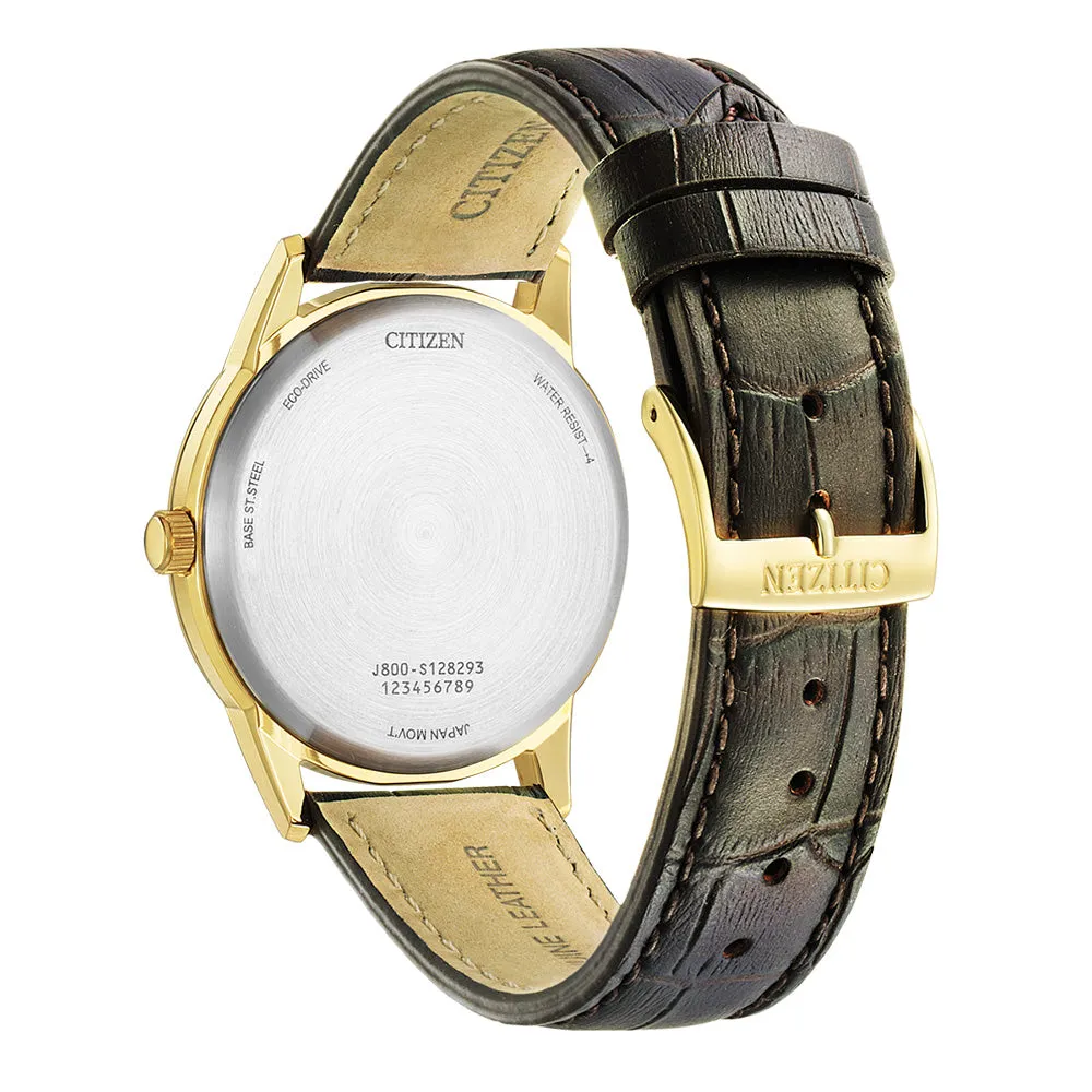 Citizen Eco-Drive AW0102-13A