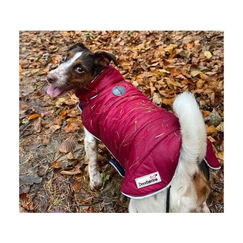 Doodlebone Puffer Jacket Punch & Burgundy Size 1-3