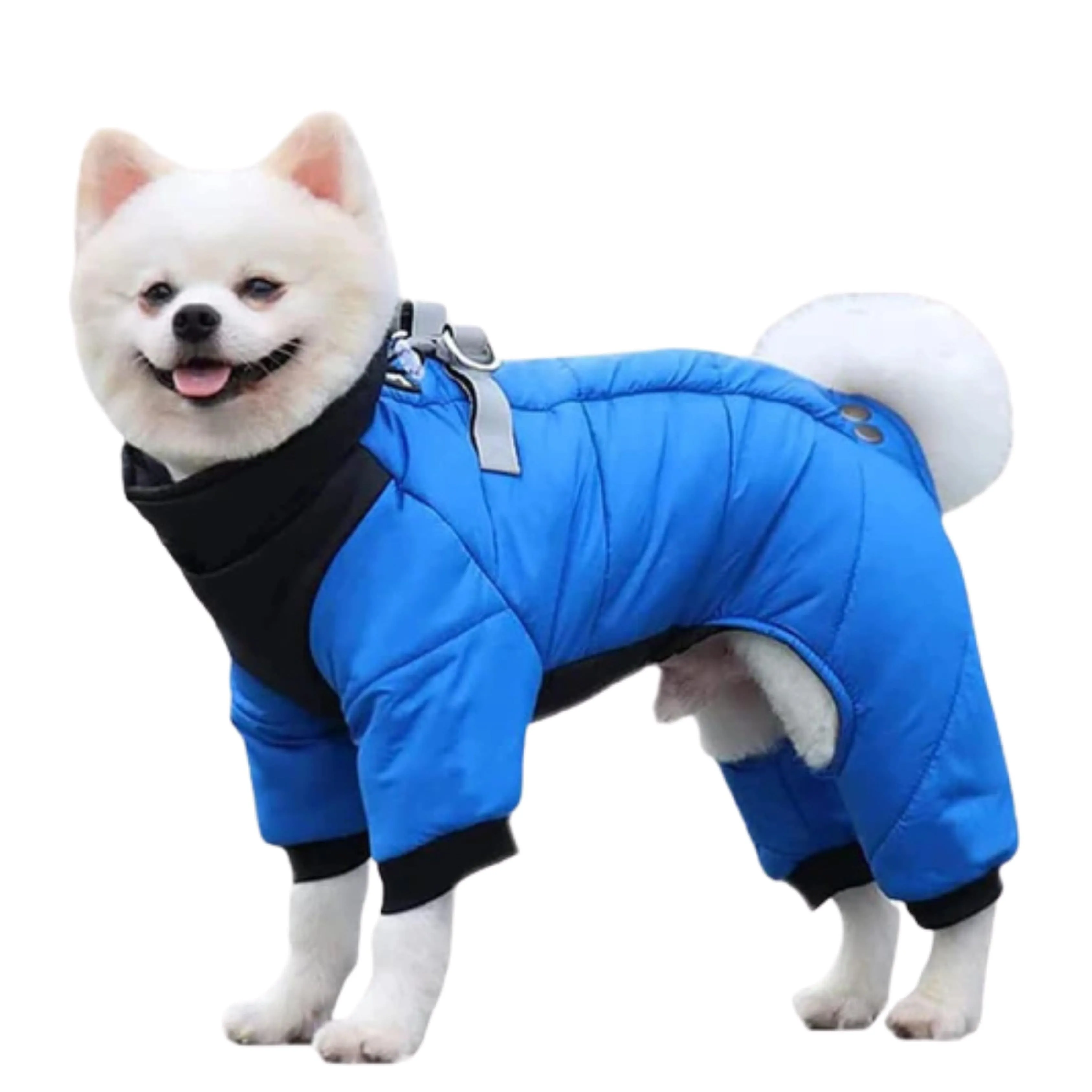 DUOMM - Dog puffer jacket