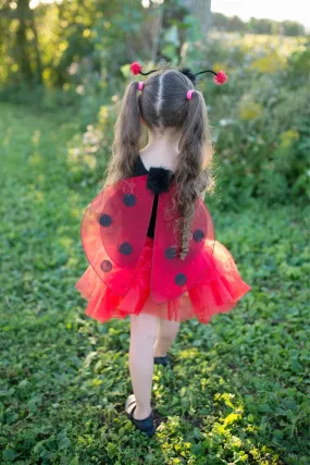 Glitter Ladybug Set by Great Pretenders