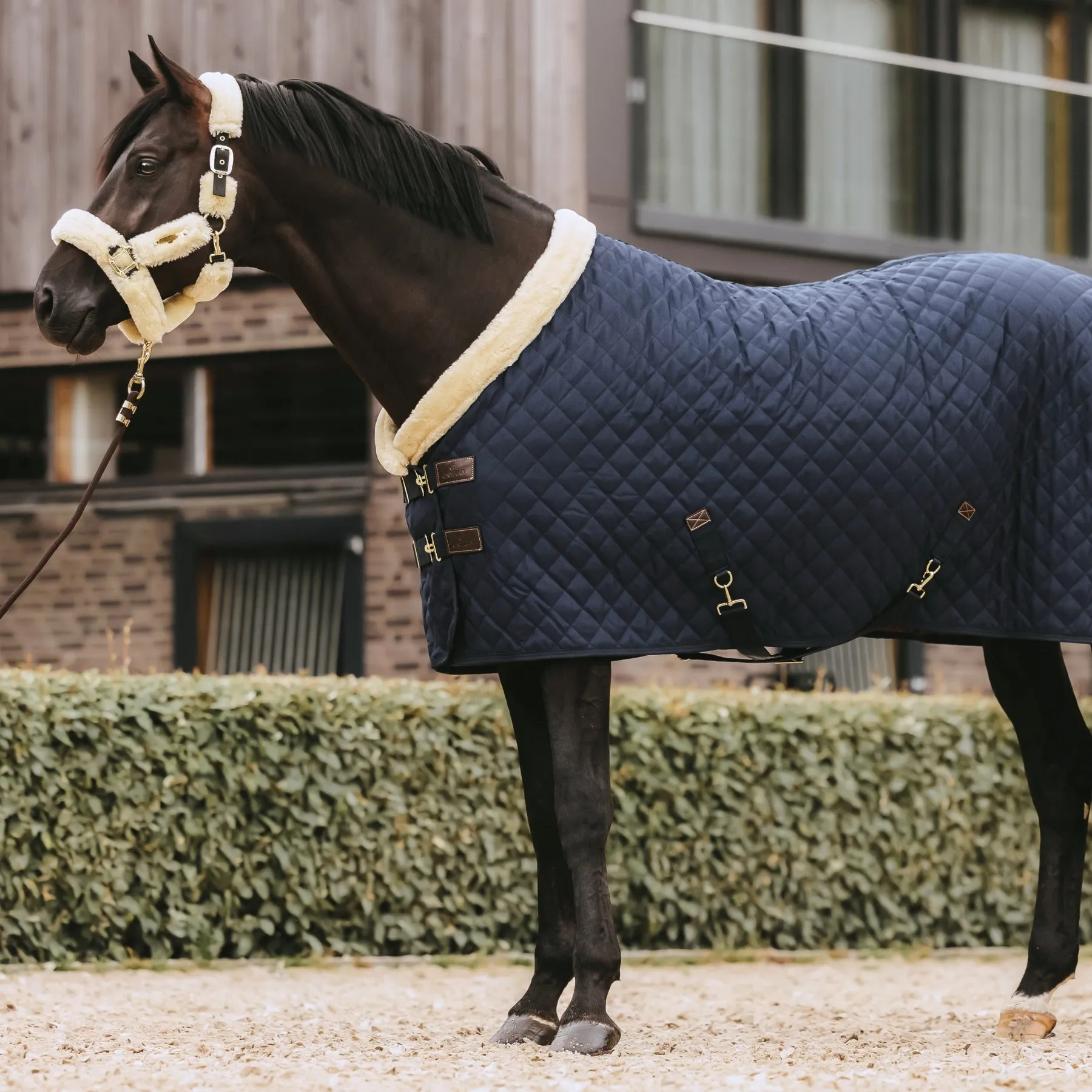 Kentucky Horsewear Show Rug, Navy