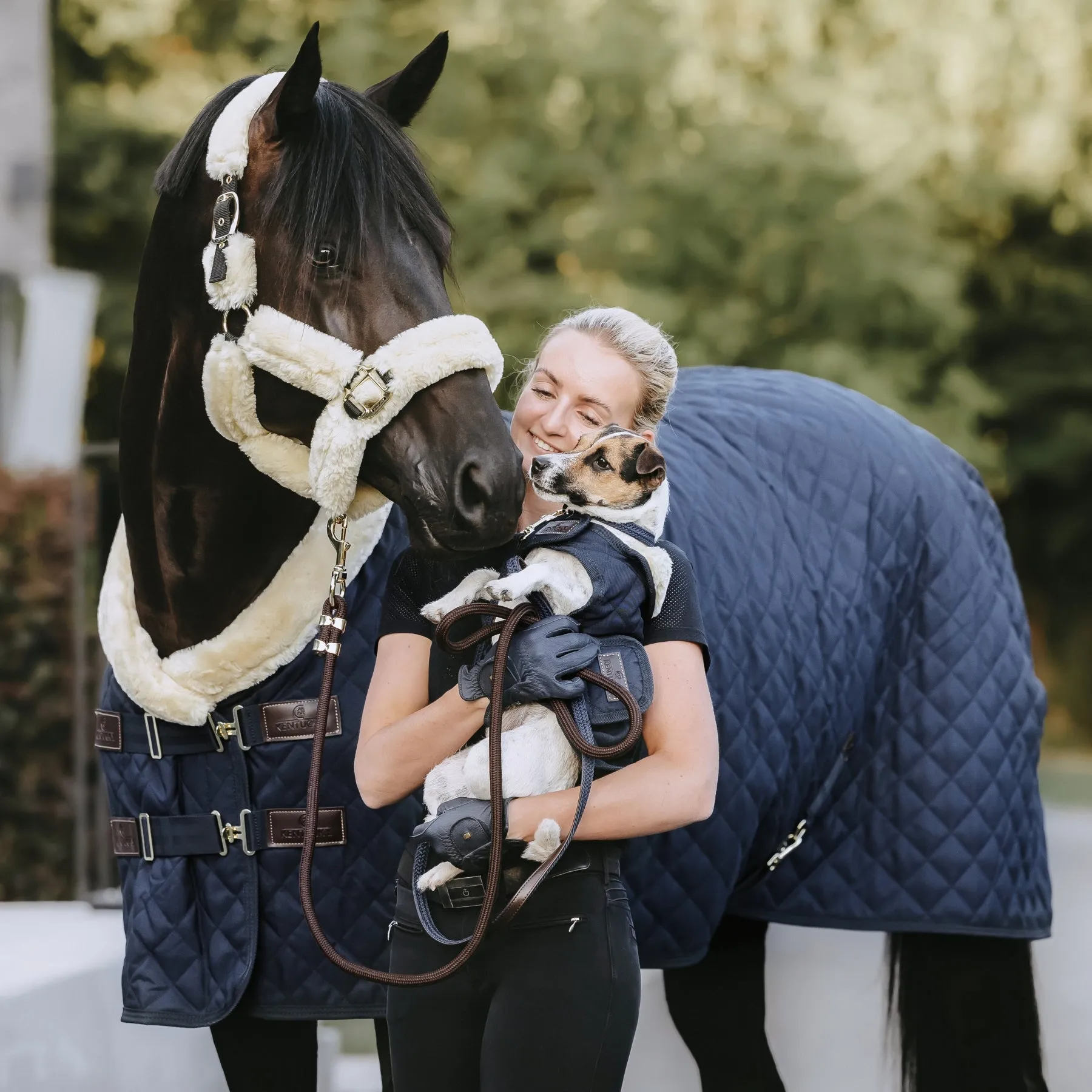 Kentucky Horsewear Show Rug, Navy