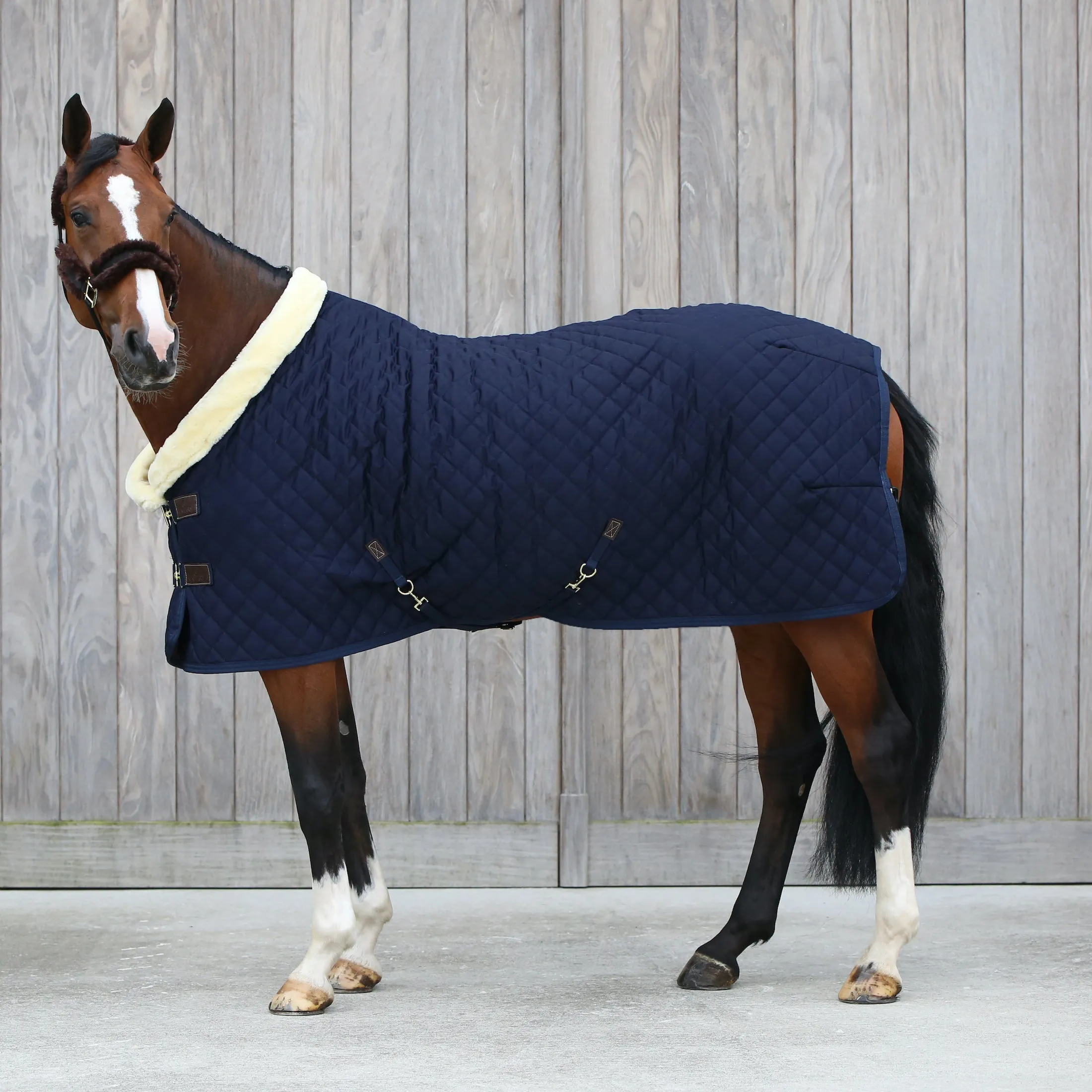 Kentucky Horsewear Show Rug, Navy