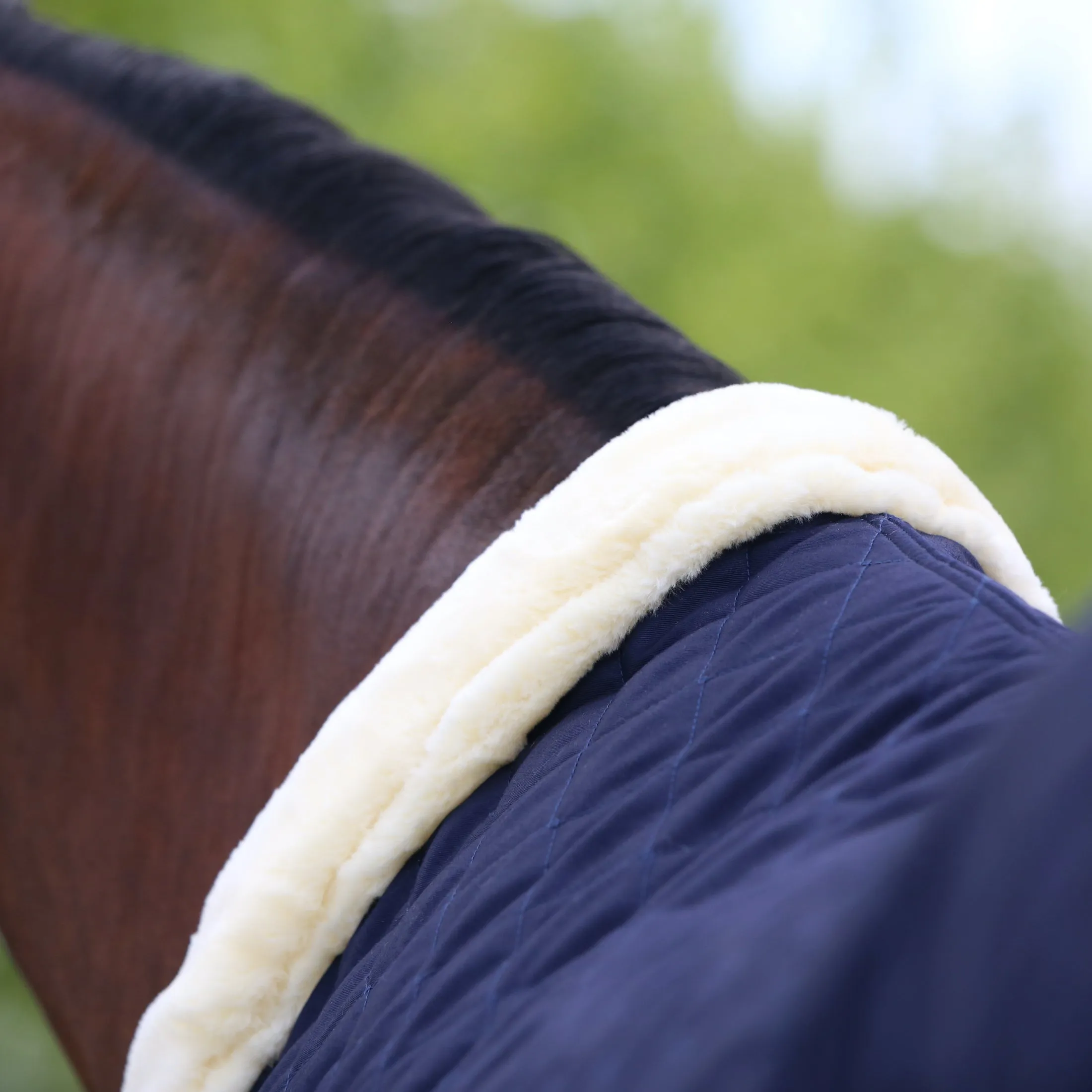 Kentucky Horsewear Show Rug, Navy