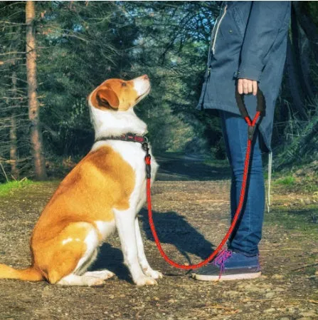 Reflective Nylon Large Pet Training Leash