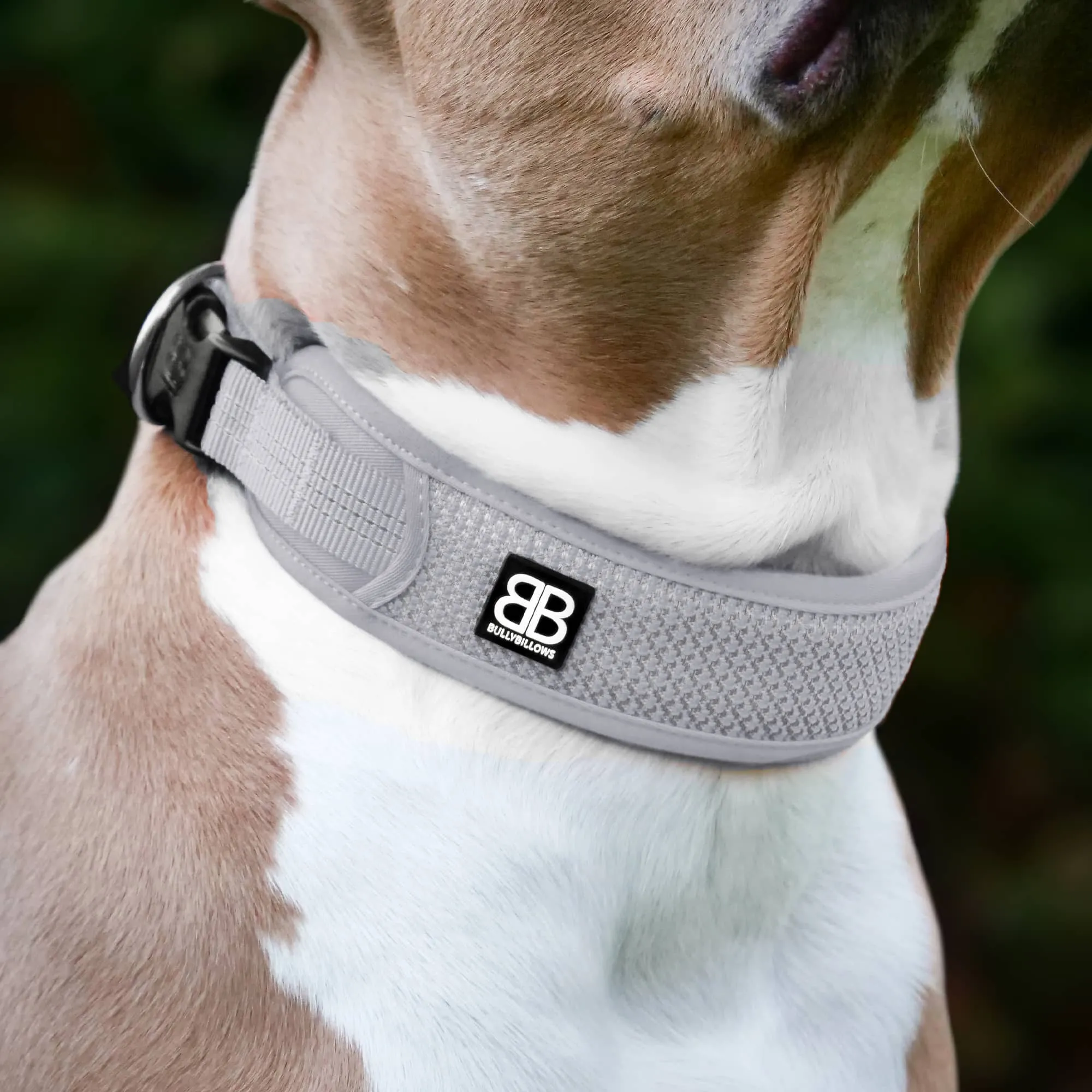 Slip N' Clip Collar | XS-M Breeds - Grey