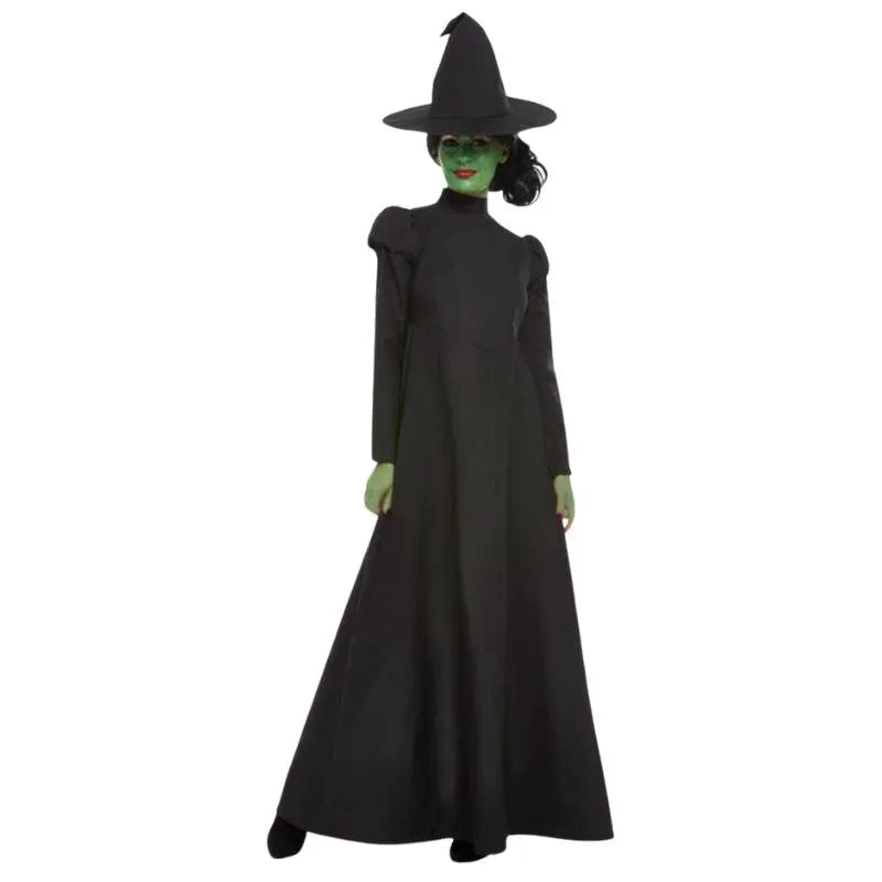 Wicked Witch Costume Adult