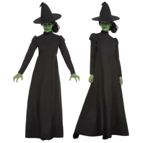 Wicked Witch Costume Adult